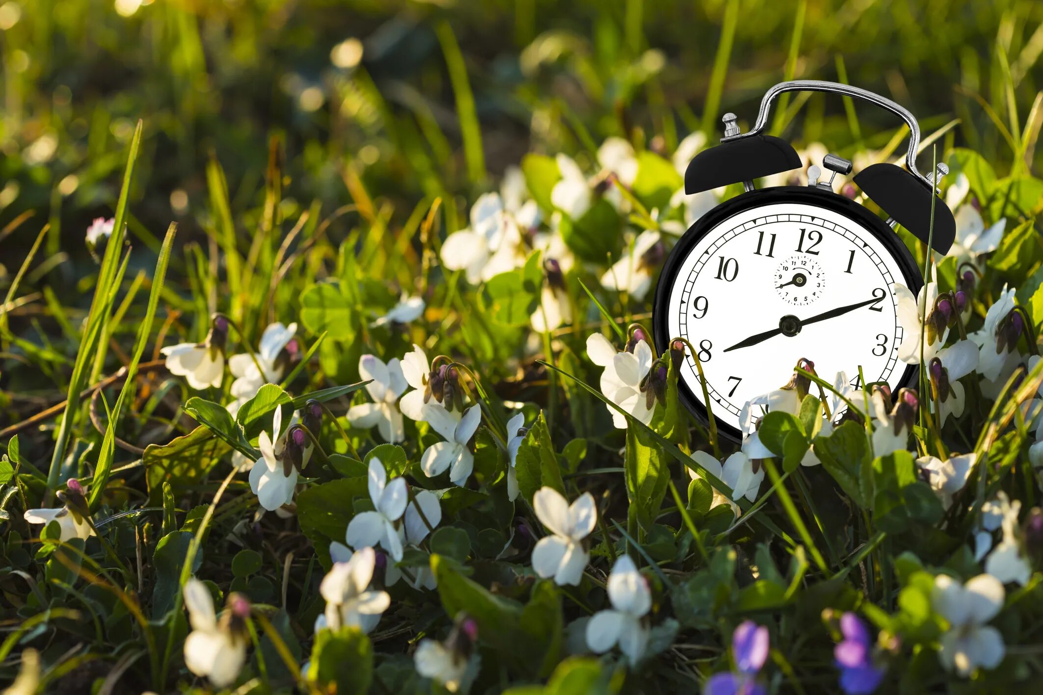Весенние часики. Часы "цветок". Весенний будильник.