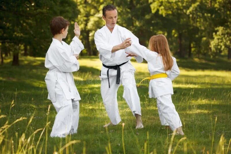 Семья +единоборства. Family Karate. Спортивная семья боевые искусства фото. МО спортивная семья фото.