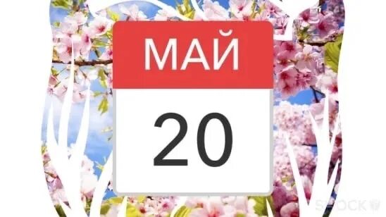 20 апреля 15 мая. 20 Мая. 20 Май. 20 Мая календарь. 20 Мая надпись.