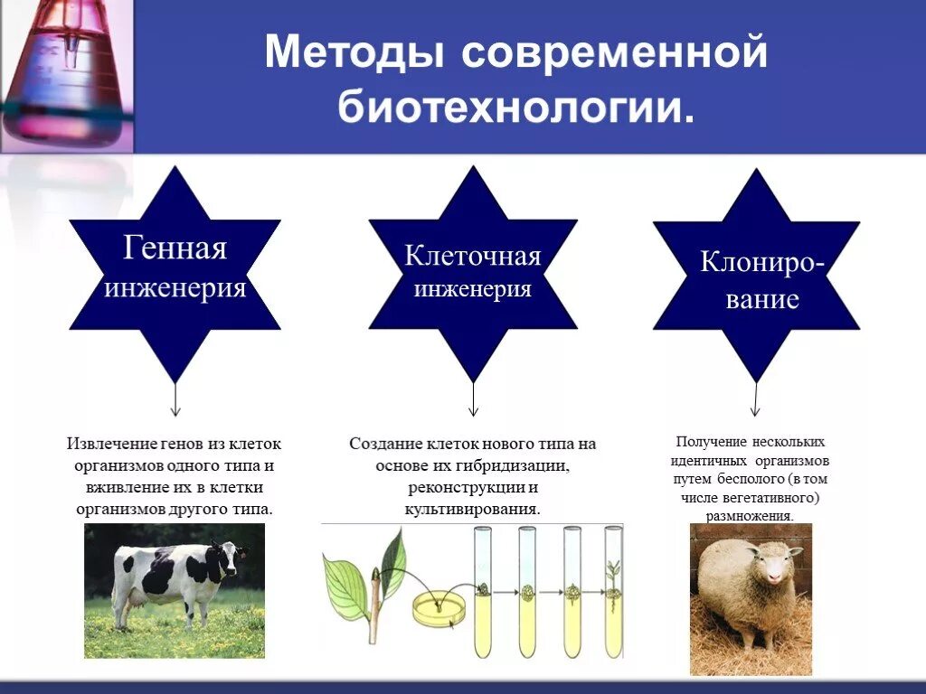 Какие методы используют в клеточной инженерии. Методы и направления биотехнологии. Методы исследования в биотехнологии. Современные методы битехнологии. Современные методы биотехнологии.