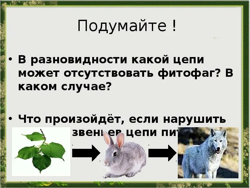 Выпадение одного звена из цепи питания нарушит. В разновидности какой цепи может отсутствовать фитофаг. Что произойдет если нарушить одно из звеньев цепи питания. Пищевая цепочка фитофагов. Что произойдет если нарушить 1 из звеньев в цепи питания.