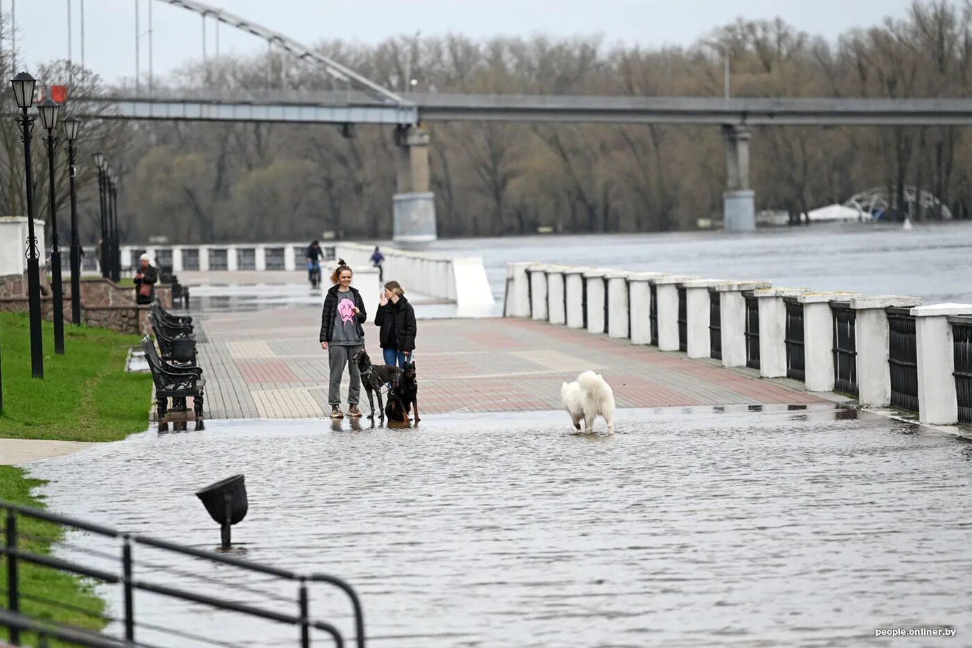 Уровень воды смоленск сож. Набережная парка Гомель. Паводок Гомель 2023. Город Набережных. Набережная в Гомеле паводок.