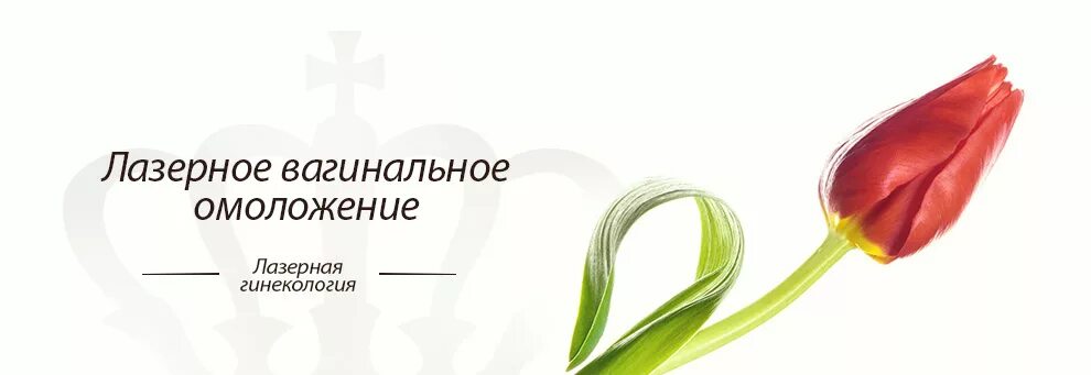 Гинекологические лазерные аппараты. Интимное омоложение великий новгород. Лазерные процедуры в гинекологии. Лазерное интимное омоложение. Лазерная эстетическая гинекология.