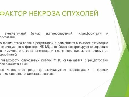 Фактор 25