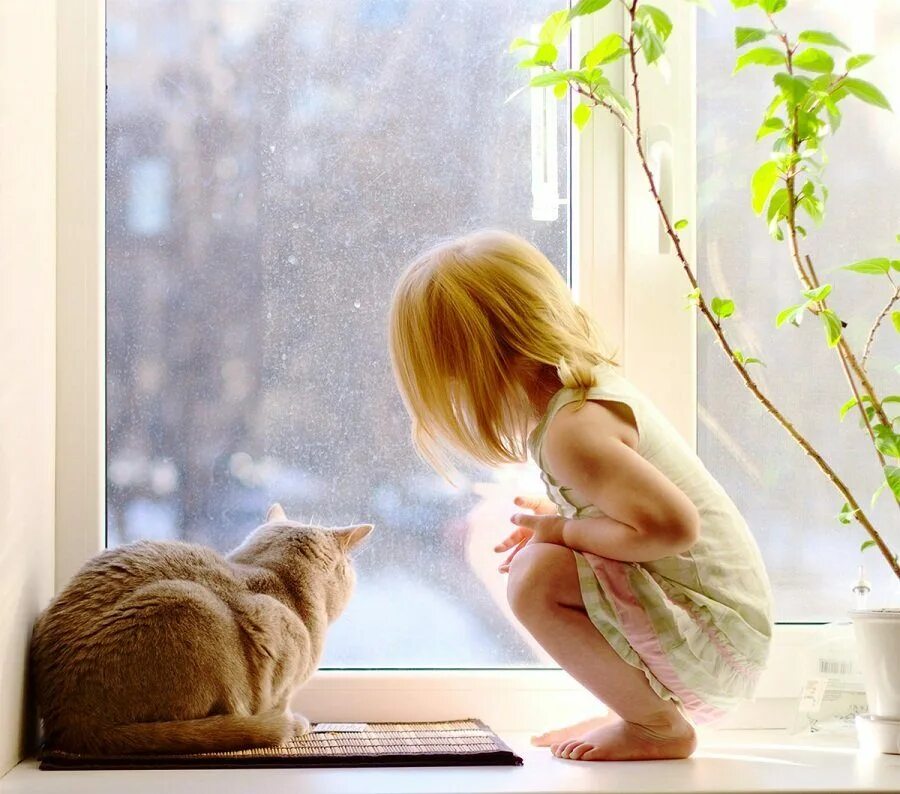 Год окну жизни. Девочка у окна. Ребенок на подоконнике. Девочка сидит у окна. Кошка девочка.