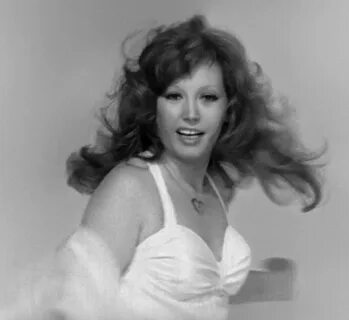 Әскери тақырыптағы порно