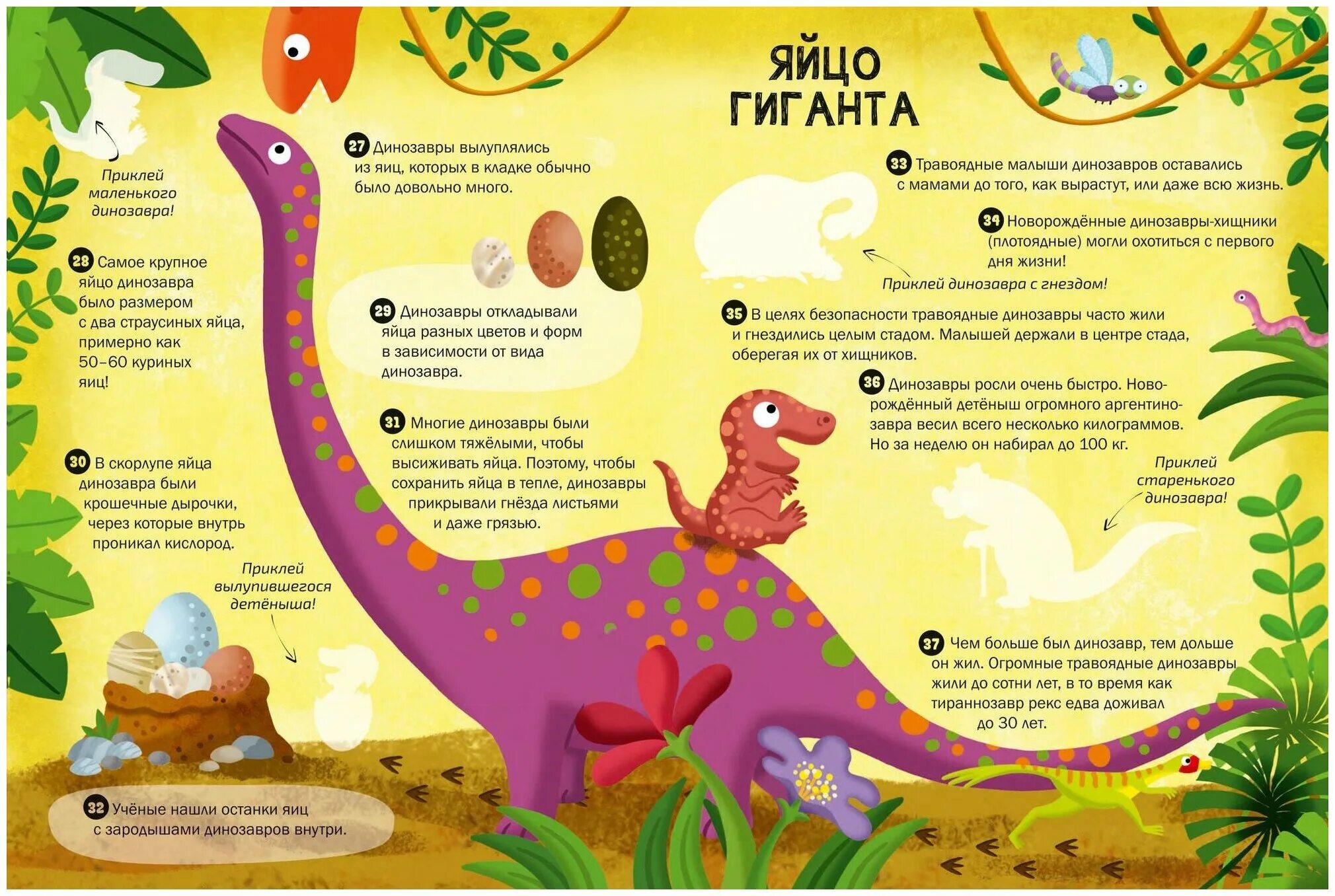 факты о динозаврах для детей. факты о динозаврах. факты о динозаврах для детей. динозавры 100 фактов росмэн. интересные факты о динозаврах для детей.