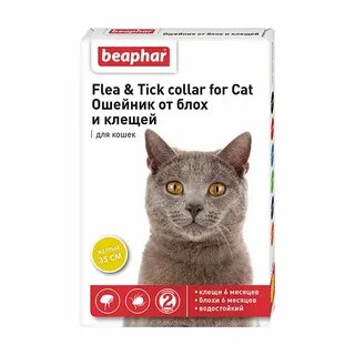 Ошейник от клещей для кошек