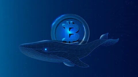 Whales market