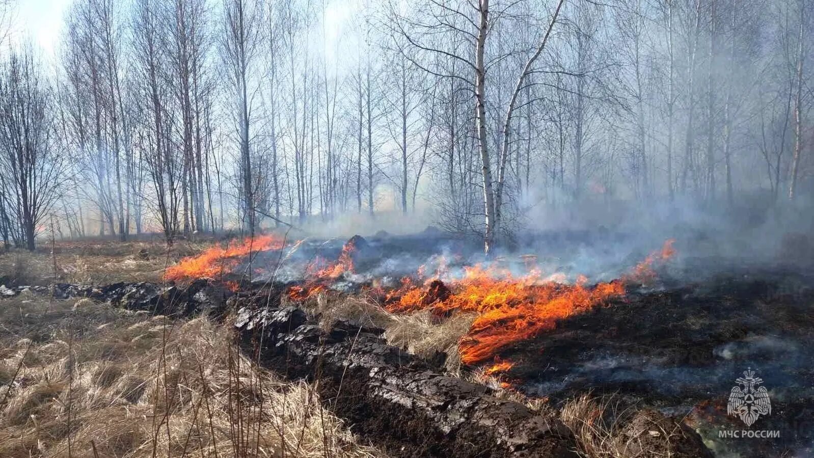 Пожар в лесу Чувашия. Лесные пожары Удмуртия 2022. Пожароопасный период в лесах.