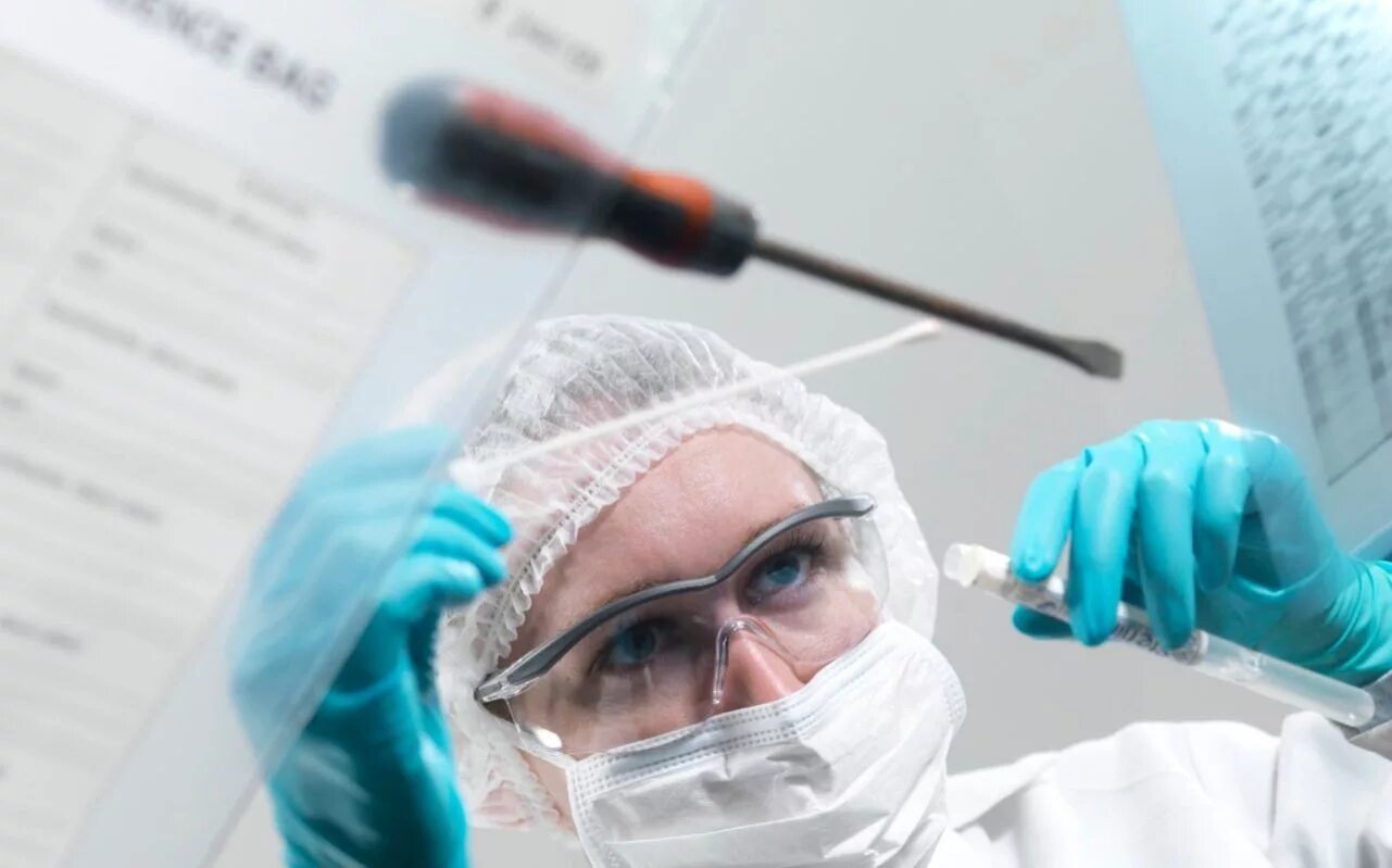 Экспертный эксперимент. Forensic science. фоны по судебной экспертизе. криминалистика эстетика. эксперимент в судебной экспертизе.