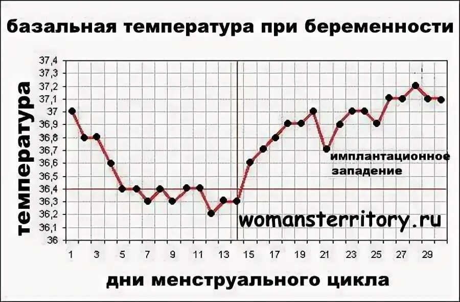 График температуры при беременности на ранних сроках. График температуры тела при беременности. Нормальный график базальной температуры при беременности. График БТ при беременности до задержки. Какая базальная температура при беременности до задержки