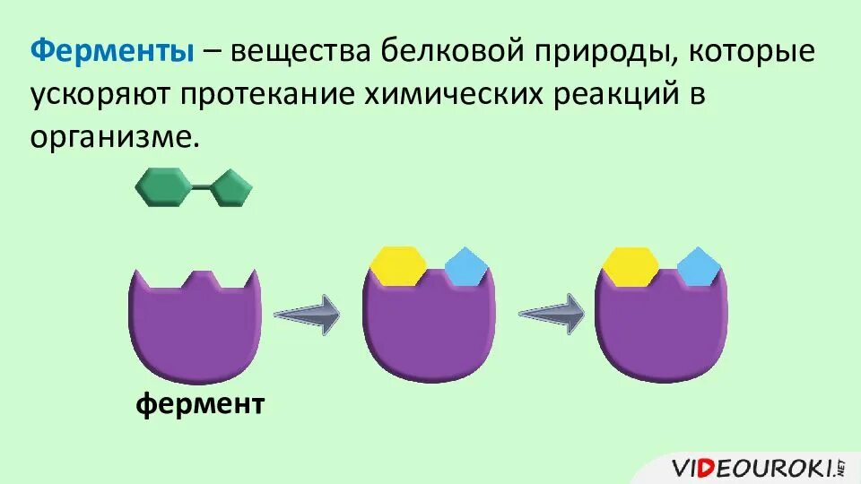 Ферменты полости рта. Класс ферменты вещества. Вещества белковой природы. Ферменты это вещества которые. Амилаза картинки для презентации.