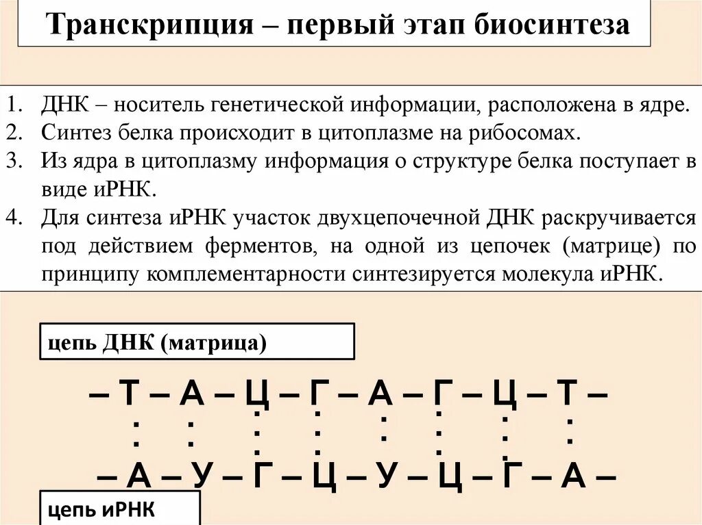 Днк носители информации