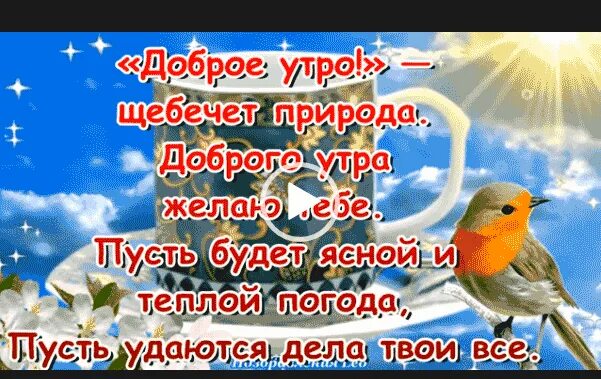 Доброе утро февраля видео для ватсапа. Доброе утро видео. Видеоролики с добрым утром для ватсапа. Ролики с добрым утром для ватсапа. Короткое видео с добрым утром для ватсап.