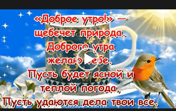 Доброе утро видео. Доброе утро видео для ватсапа. Доброе утро видеоролик для ватсапа. Ролики с добрым утром для ватсапа.