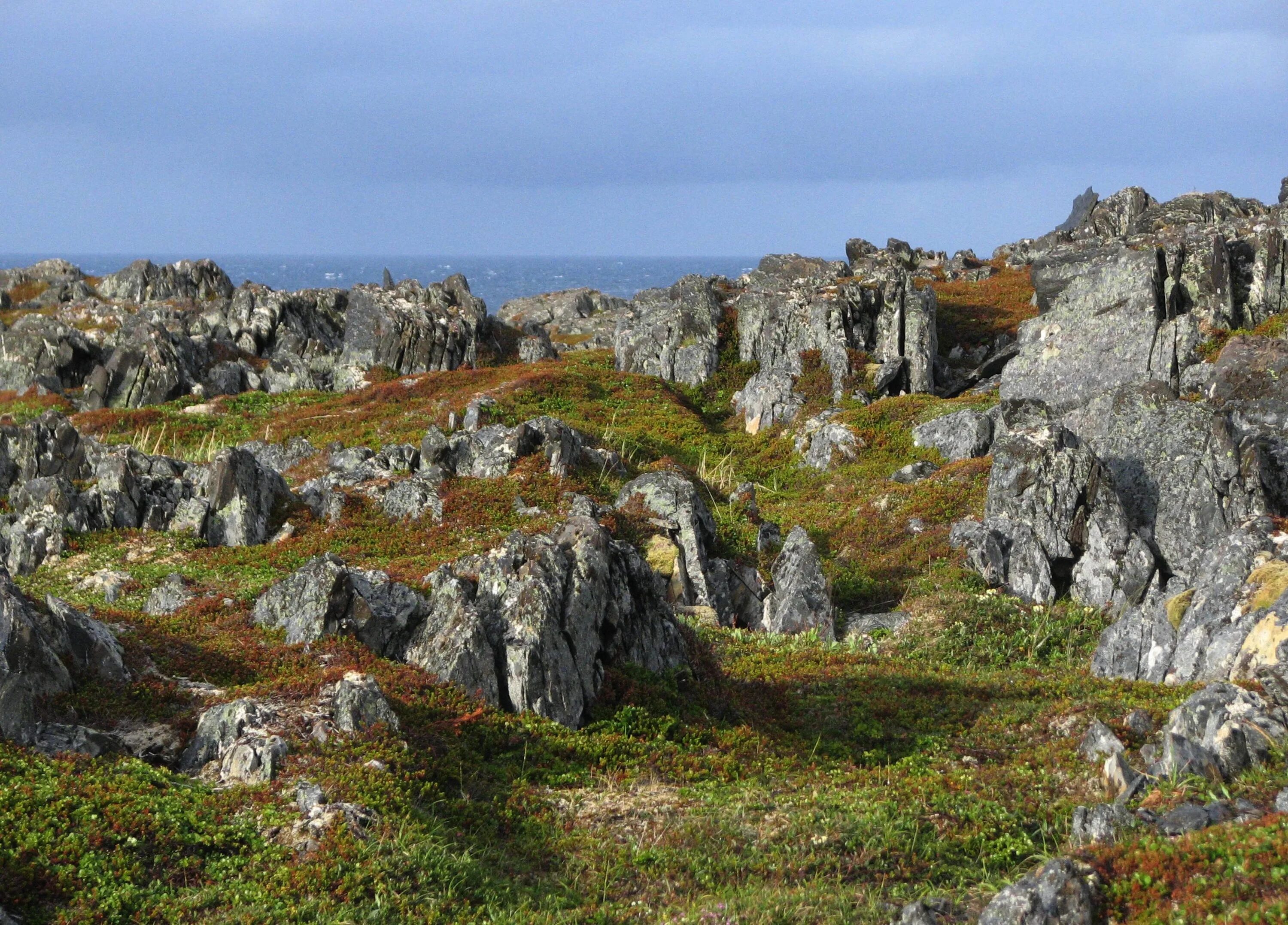 Скалистые берега Норвегии. Гамвик Норвегия. Каменная местность. Каменистые скалы.