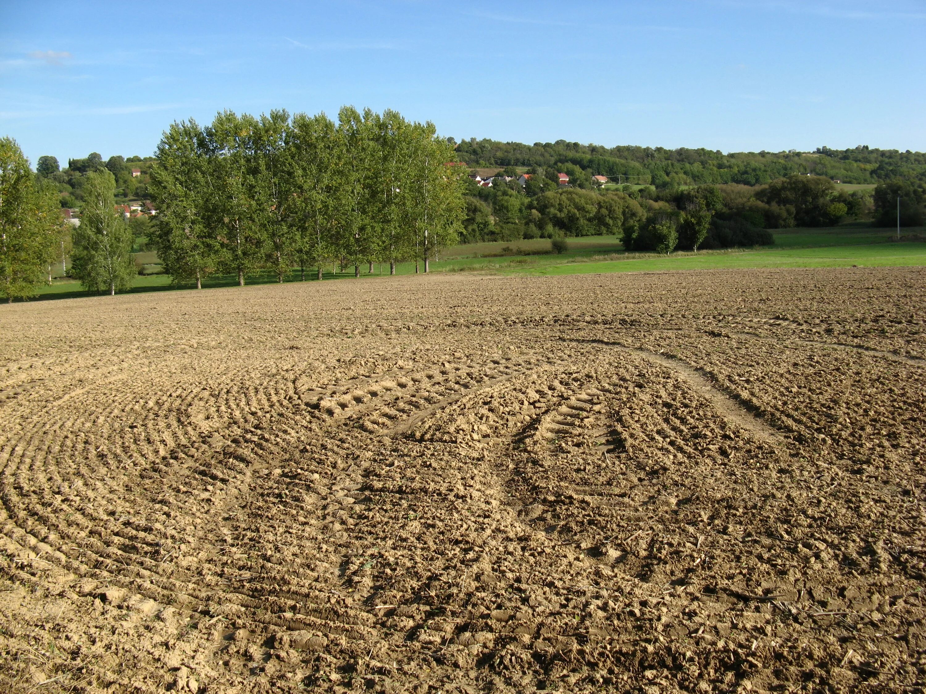 Ground