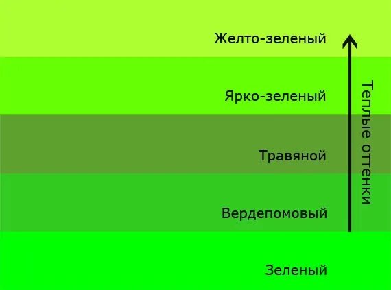 Green types. Теплый зеленый цвет. Теплые оттенки зеленого. Травянисто зеленый цвет. Как называется ярко-зеленый цвет.