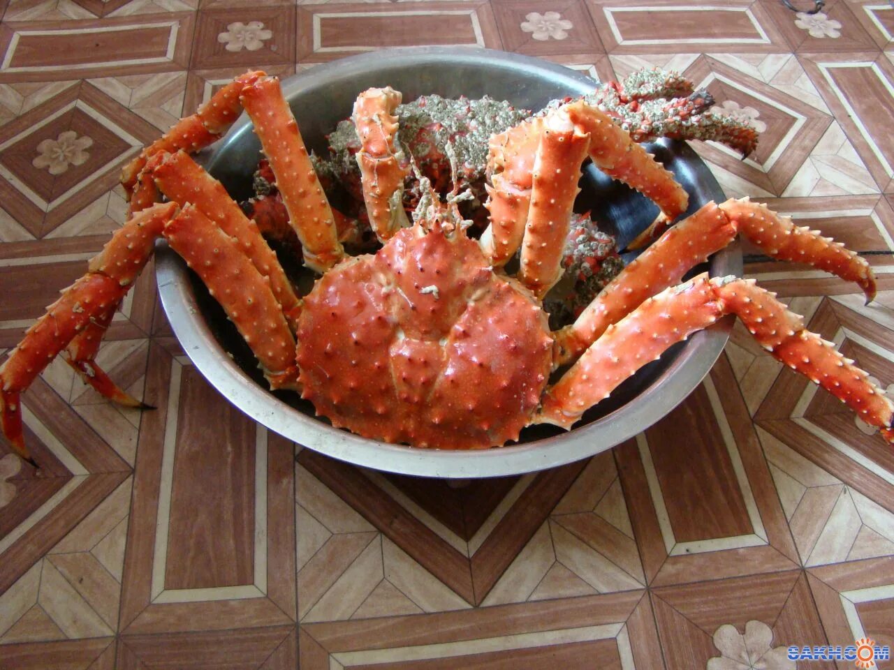 Камчатский краб сахалин. Краб сахалинский и камчатский. Стригун опилио. Крабовый рынок сахалин. Камчатский краб охотское море.