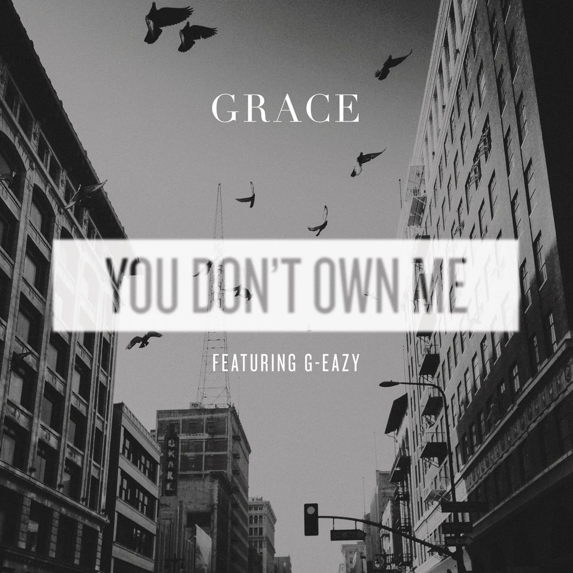 He own me. You don`t own me. g-eazy grace you don&#039;t own me. you don’t own me обложка. say grace ft. g-eazy - you don&#039;t own me.