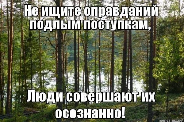 Подлый поступок. Статусы про подлые поступки. Цитаты о подлых и низких людях. Цитаты про подлые поступки.