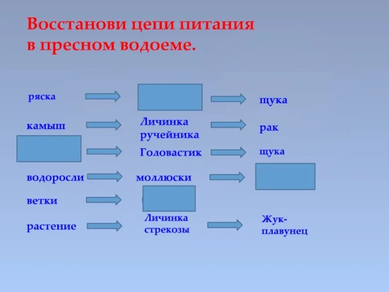 Составить пищевую цепь водоема