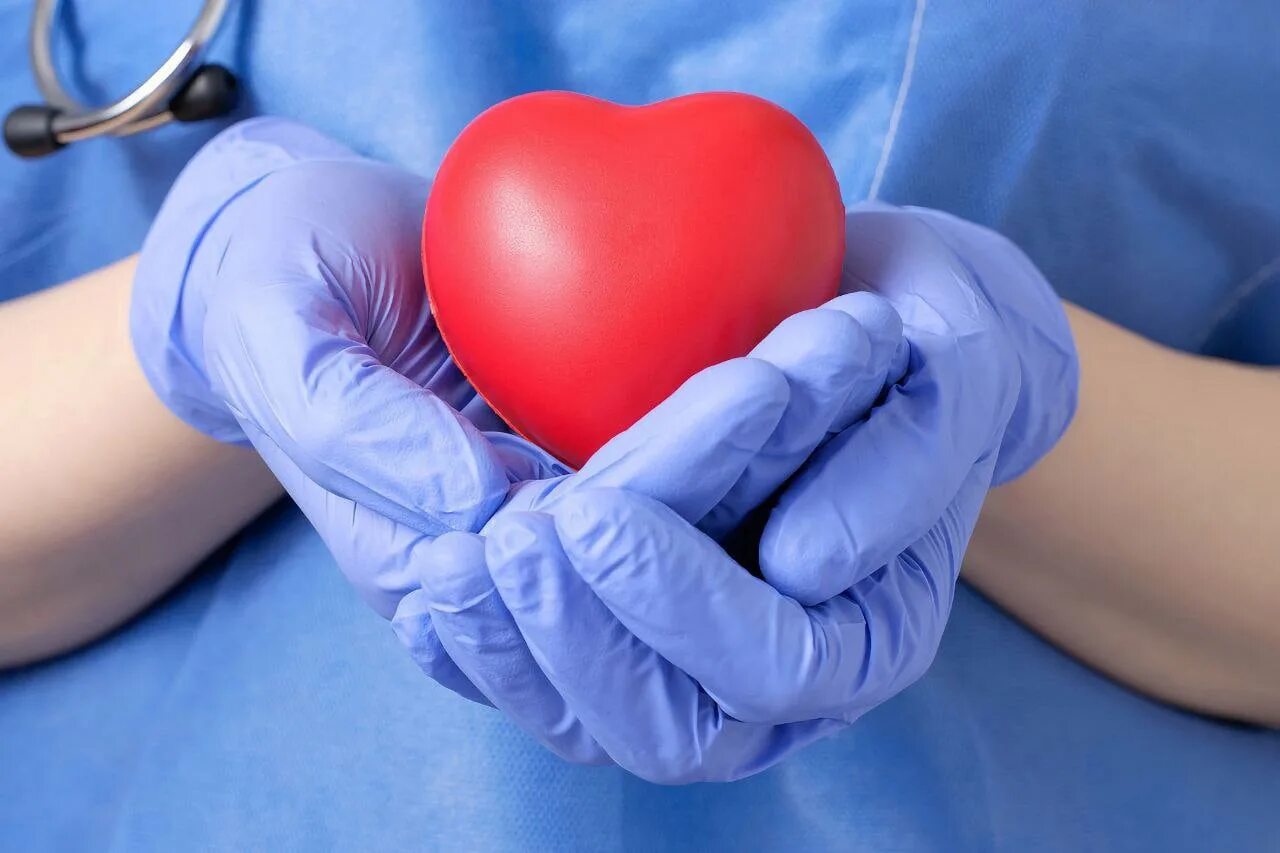 Трансплантация органов и тканей. Трансплантация сердца. Трансплантация органов и тканей человека. Доноры родственники