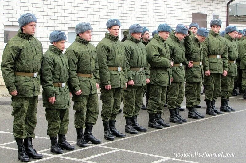 Военный Строй. Шеренга солдат. Строй солдат. Строительные войска.