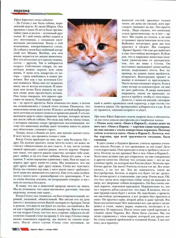 Как стать другом кошке