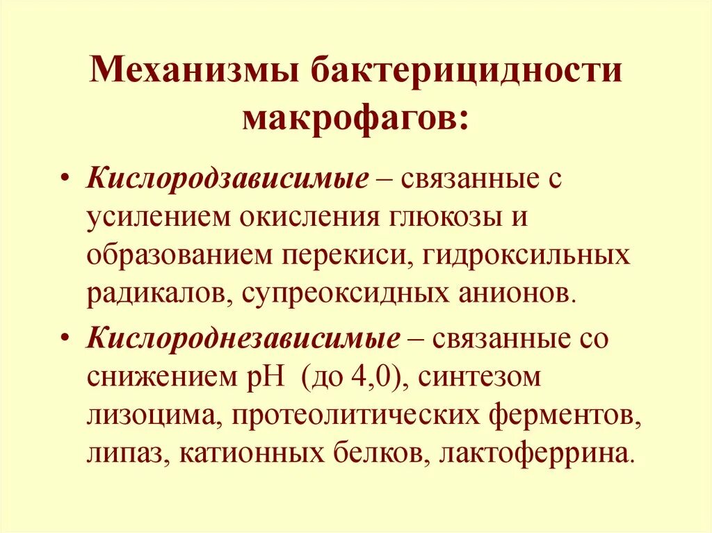 Бактерицидные продукты нейтрофилов и макрофагов. Механизмы бактерицидности макрофагов. Механизмы бактерицидности фагоцитов. Механизм бактерицидности нейтрофилов.