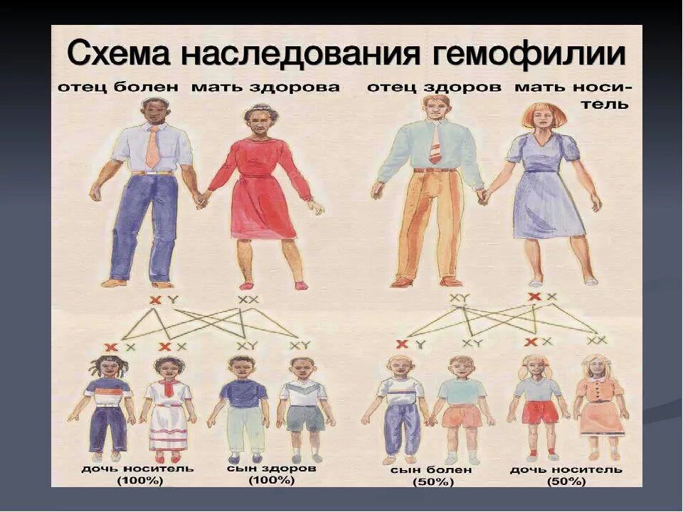 Схема наследования гемофилии. Гемофилия Тип наследования. Гемофилия это наследственное заболевание. У матери не являющиеся носителями гемофилии