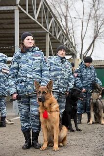 Кинолог ростов