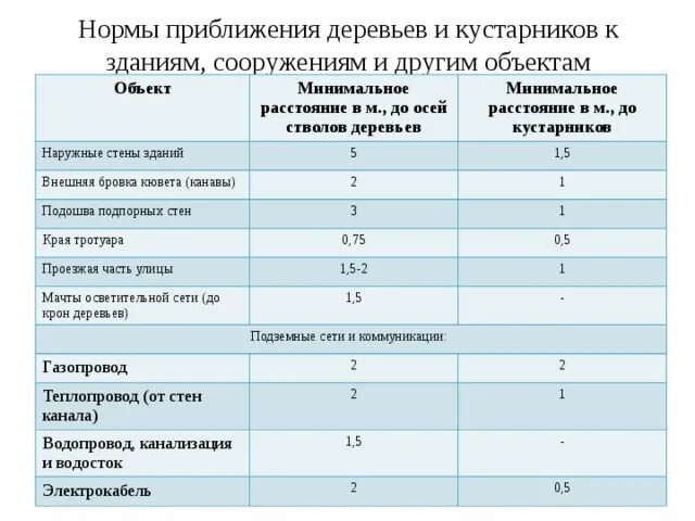 Нормы посадки деревьев СНИП. Нормы посадки деревьев и кустарников от коммуникаций. СНИП посадка деревьев и кустарников. Нормативы посадки деревьев и кустарников. Нормы строительства школ