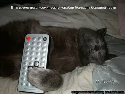 Продолжая держаться лапой