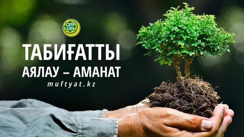 Қара адамдар қалай куннилингус жасайды