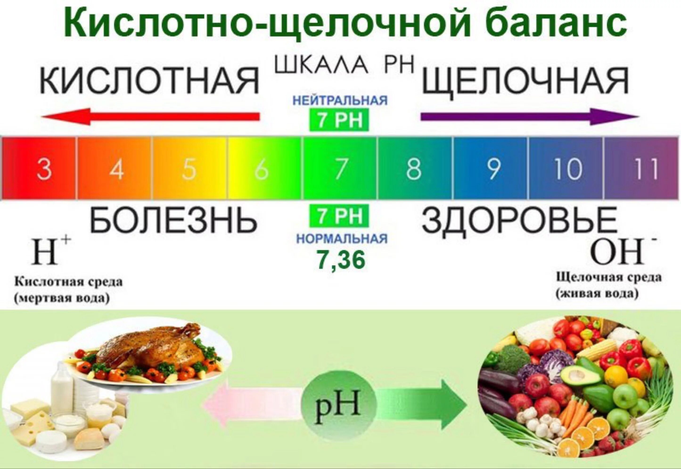 Кислотность в кишечнике. Кислотно-щелочной баланс шкала PH. Кислотно-щелочной баланс организма (PH). Кислая и щелочная среда в организме человека. Ощелачивание организма продукты таблица.