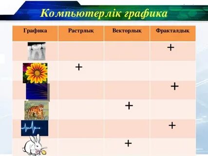 Графика және жобалау 10 сынып