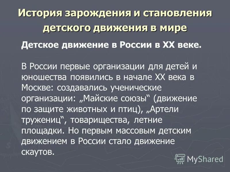 Описание процесса реализации проекта