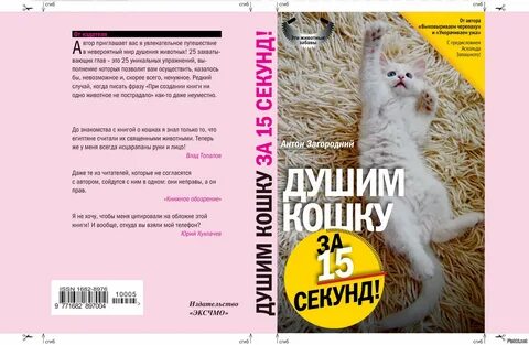 Мир кошек книга