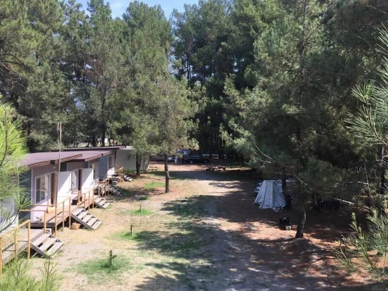 Цитрусовый совхоз отели. Forest club пицунда. форест клуб абхазия пицунда. цитрусовый совхоз абхазия forest club. форест клаб 2 абхазия пицунда.