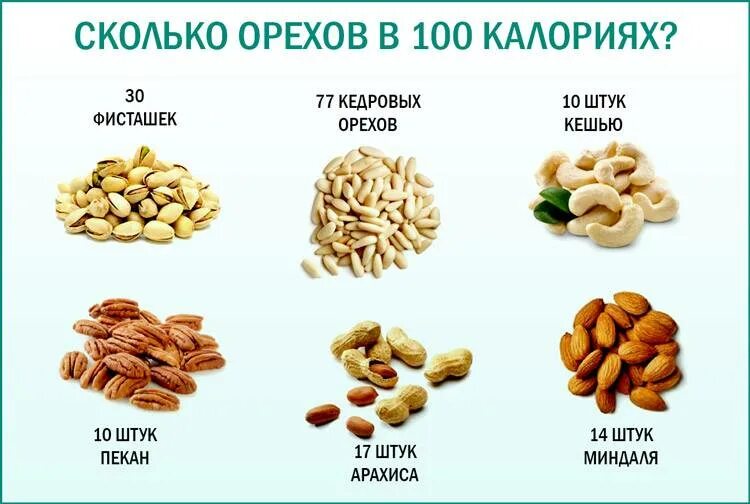 Сколько штук орехов можно есть в день. 100 Грамм грецких орехов калорийность. Калорийность земляного ореха на 100 грамм. Самый полезный орех для мужчин. 100 Калорий в орехах.