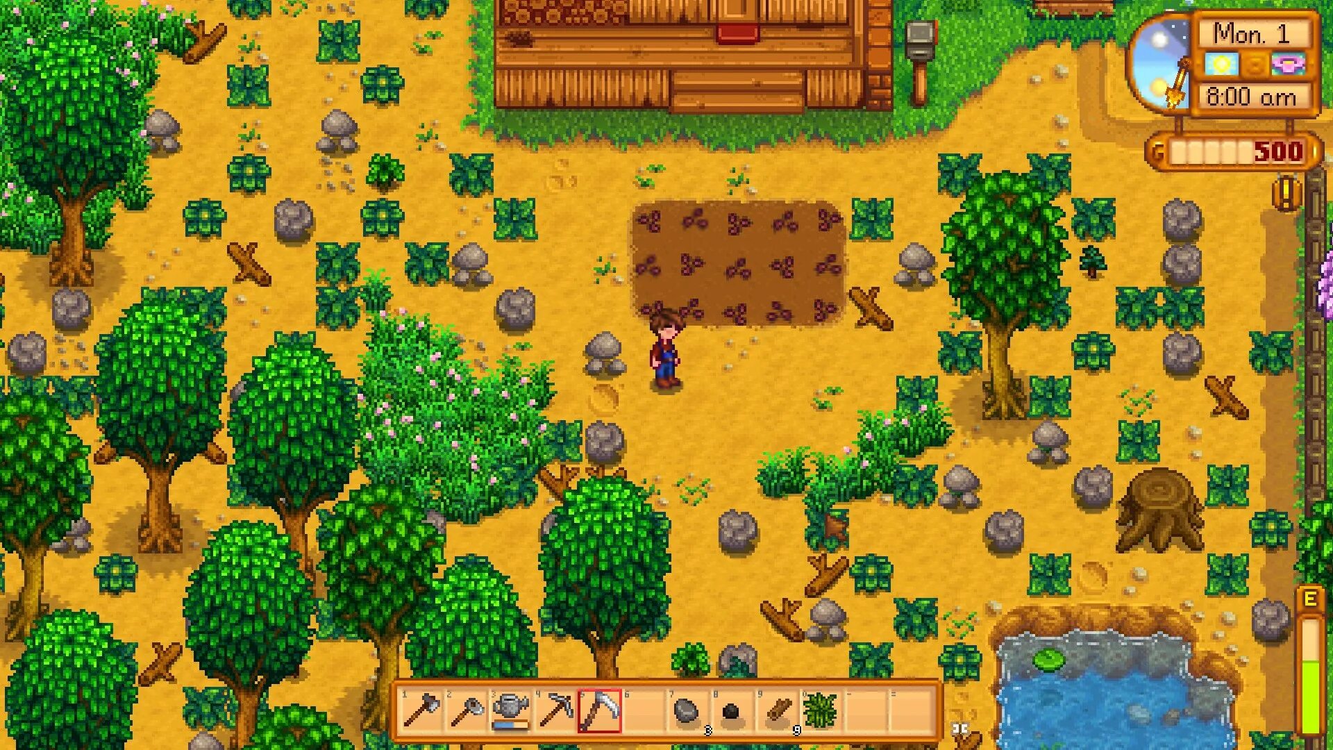 Stardew как увеличить инвентарь. Дыня stardew valley. золотая тыква stardew valley. огромная дыня stardew valley. stardew valley зеленая фасоль.