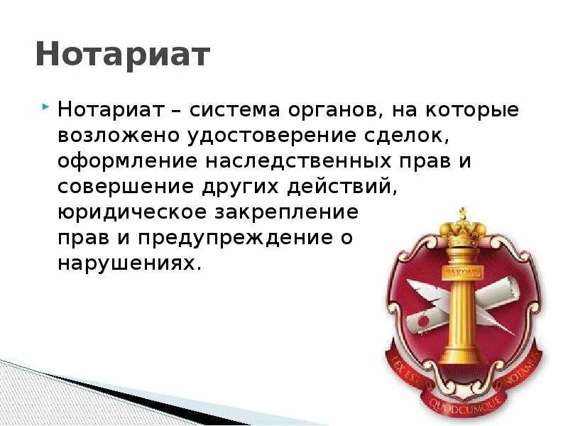 Адвокатура нотариат субъект. Адвокатура нотариат субъект