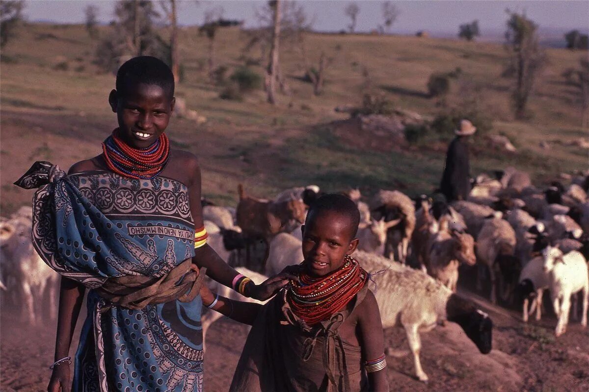 Масаи народ Африки. Масаи племя. Масаи пастухи.
