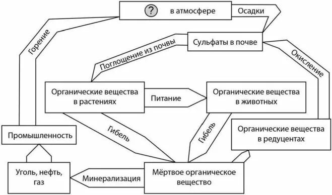 схема круговорота серы в природе впр. биогеохимический цикл углерода схема. схема круговорота углерода. круговорот серы в природе. круговорот углерода происходит с участием живых организмов вывод.
