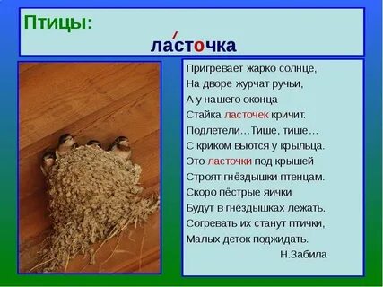 Ласточка словарное слово