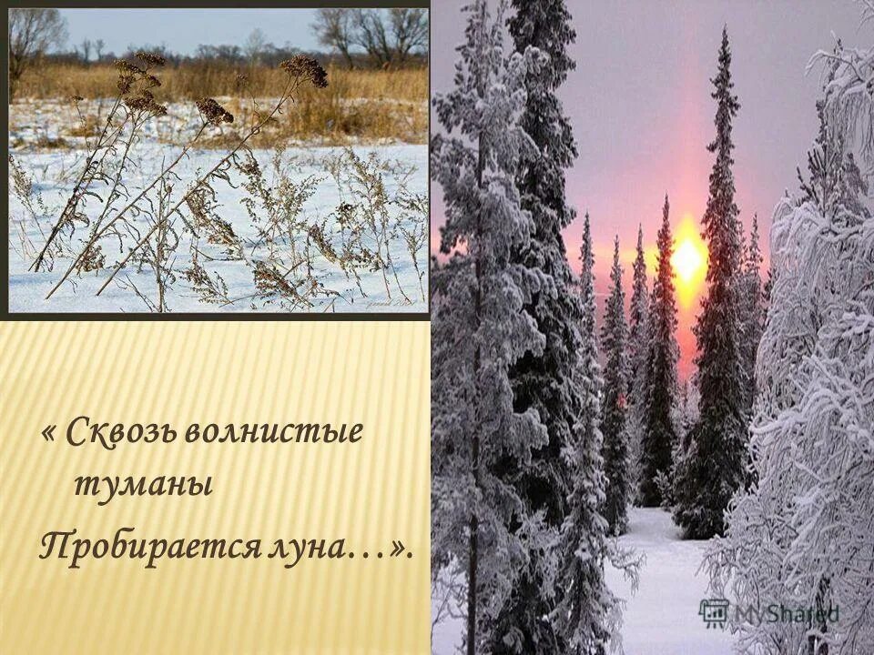 волнистые туманы падеж. сквозь волнистые туманы пробирается луна на печальные поляны. сквозь волнистые туманы пробирается луна морфологический разбор. предложение в стихах. сквозь волнистые туманы пробирается луна морфологический разбор.