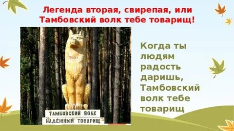 Почему говорят тамбовский волк тебе товарищ