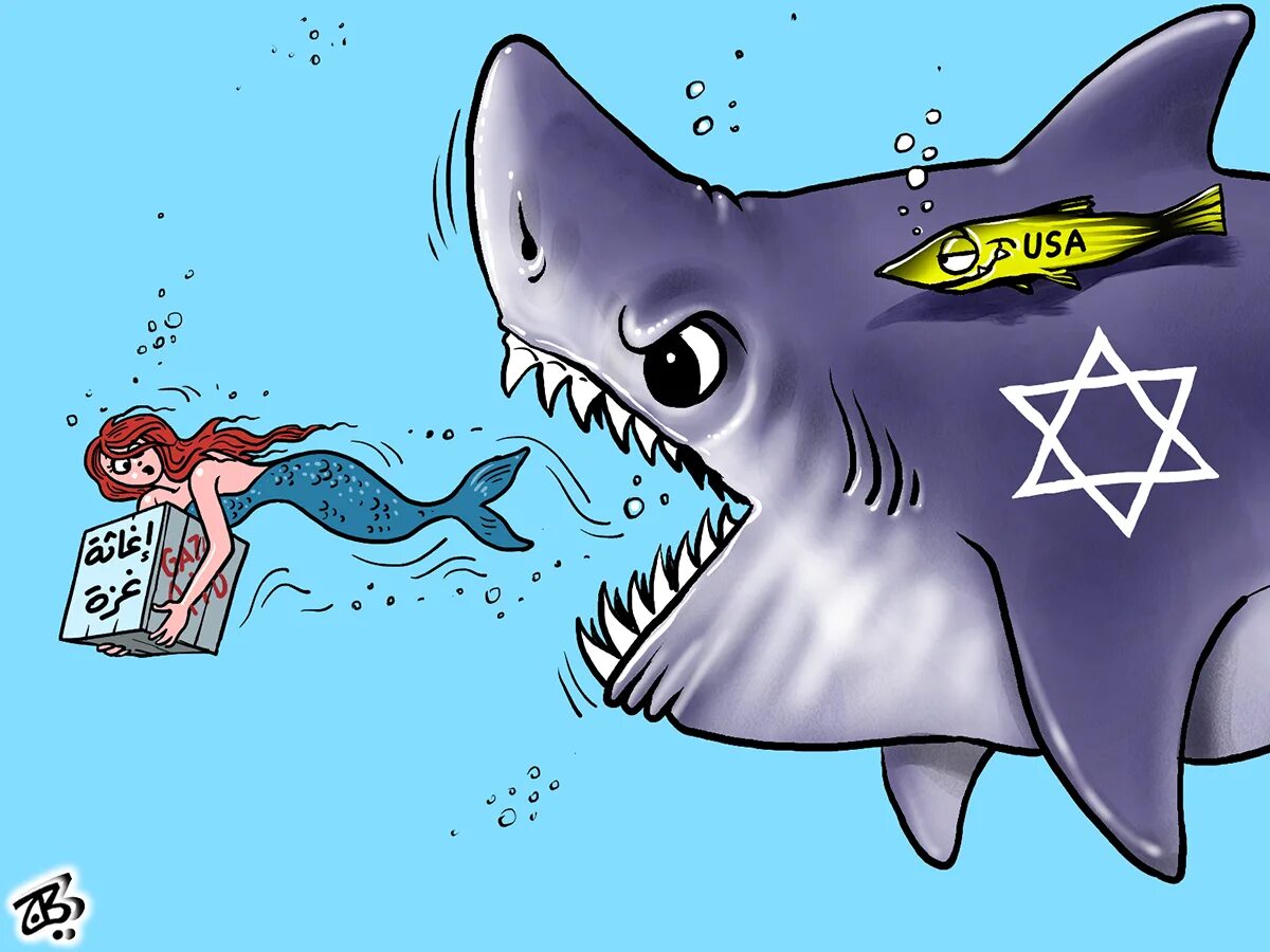 Акула и русалка. Шарко акула shark. русалка акула.